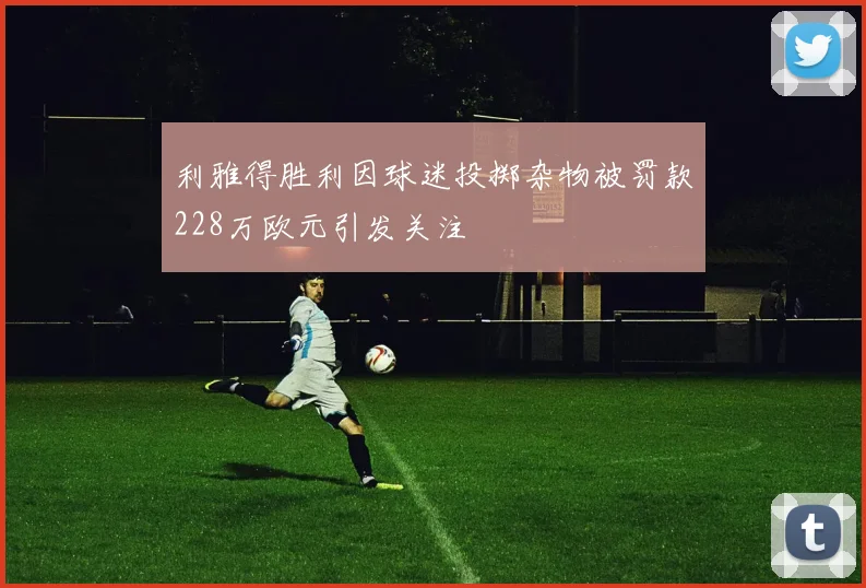 利雅得胜利因球迷投掷杂物被罚款228万欧元引发关注